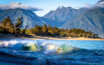 Understanding the Ocean on Maui
