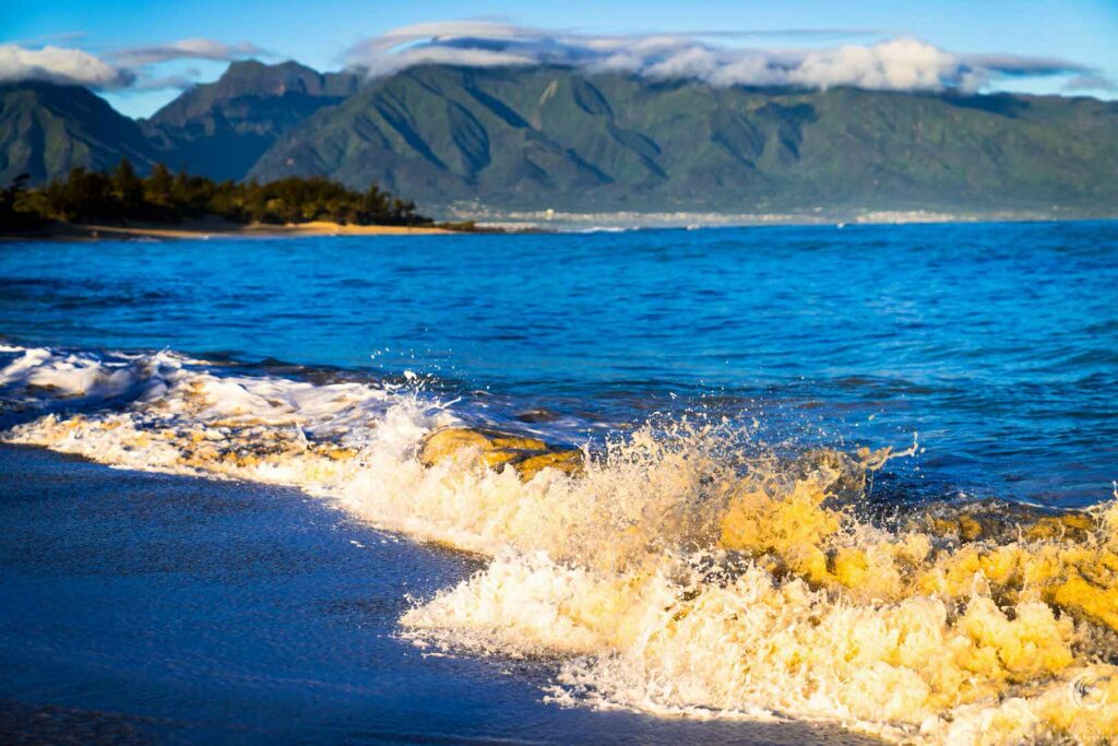 A close-up of the shoreline on Maui