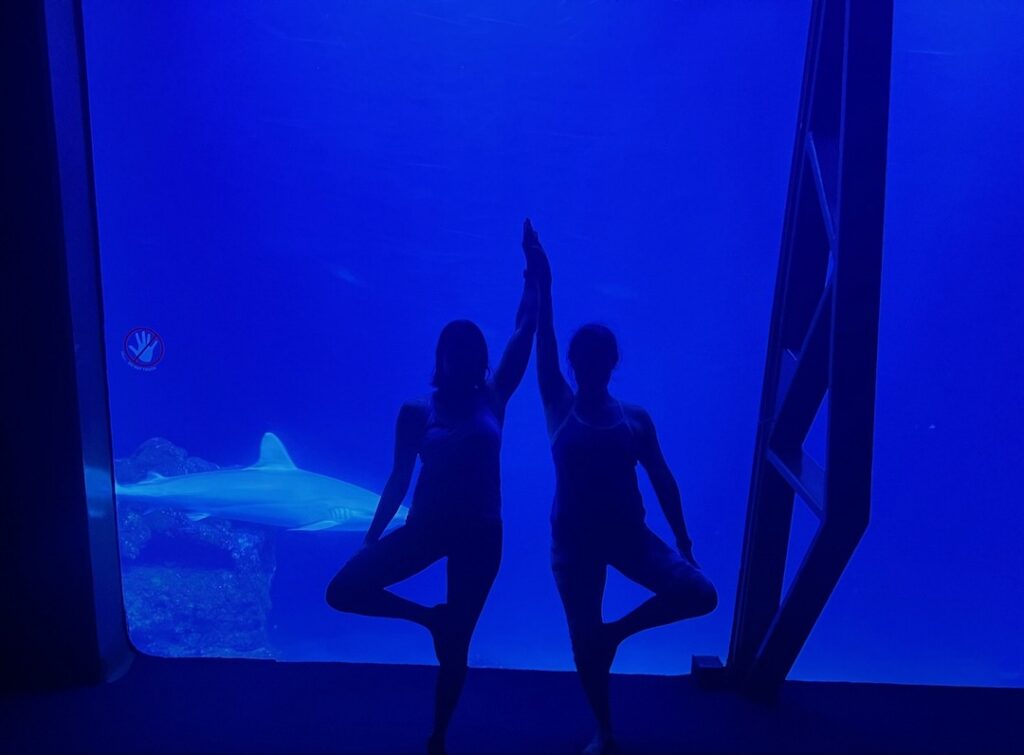 Friends flow with AquariOM at Maui Ocean Center's Open Ocean exhibit