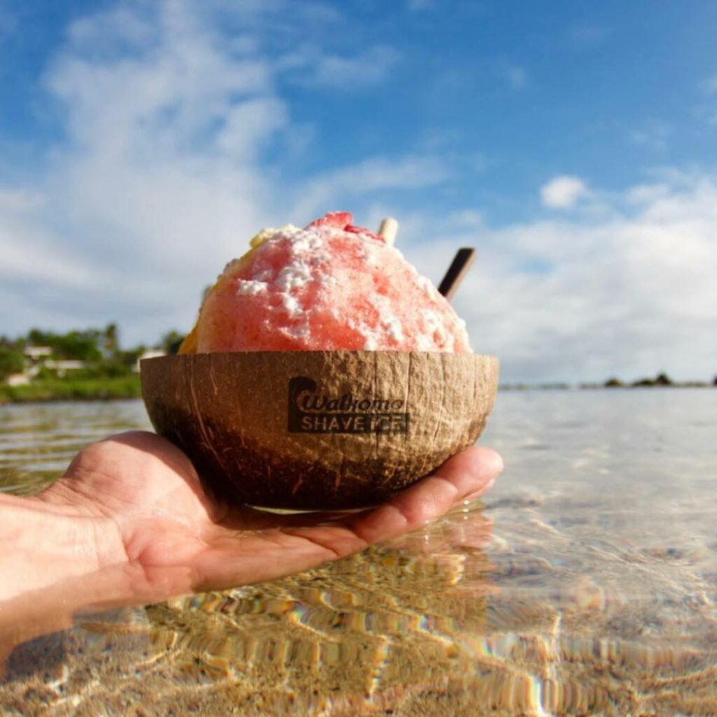 Waikomo Shave Ice in a coconut cup