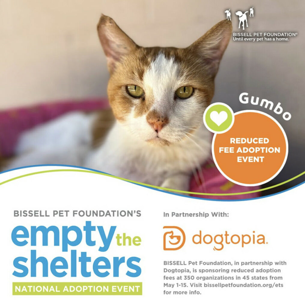Empty the Shelters National Adoption Event for Maui Humane Society