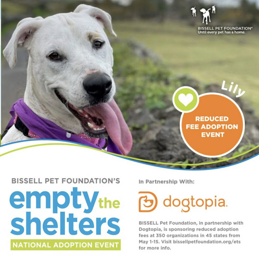 Empty the Shelters National Adoption Event for Maui Humane Society