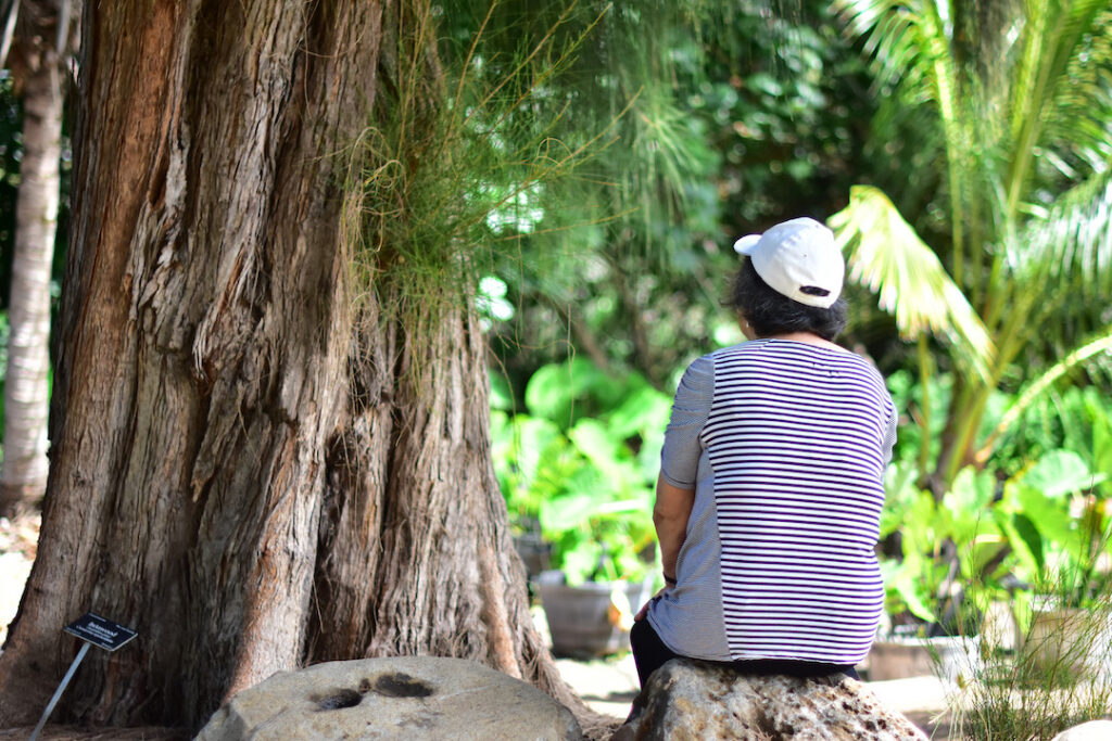 Lady sits in forest bathing session