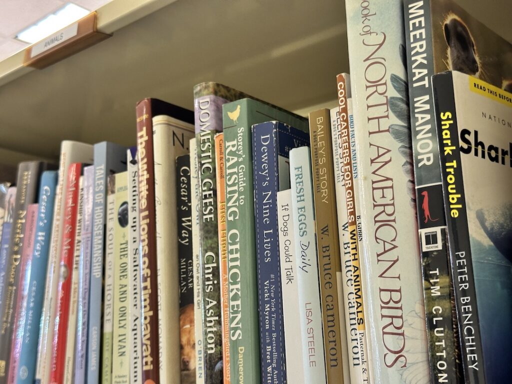 Books on the shelf at Kīhei bookstore on Maui