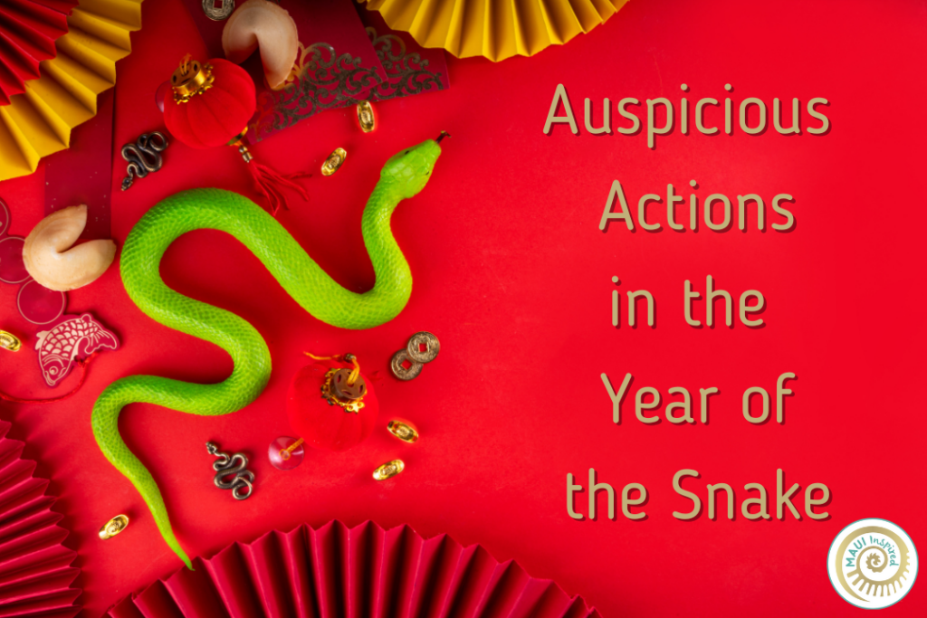 Auspicious Actions in the Year of the Snake