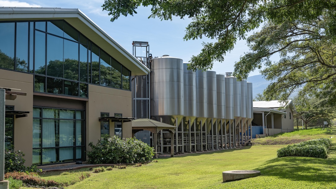 Cheers to Sustainability in Action: Maui Brewing Co & Pacific Biodiesel
